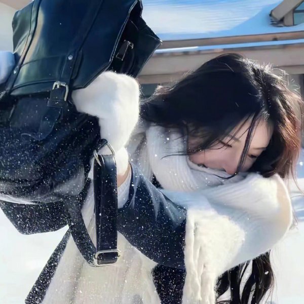 撒旦遇见淑女